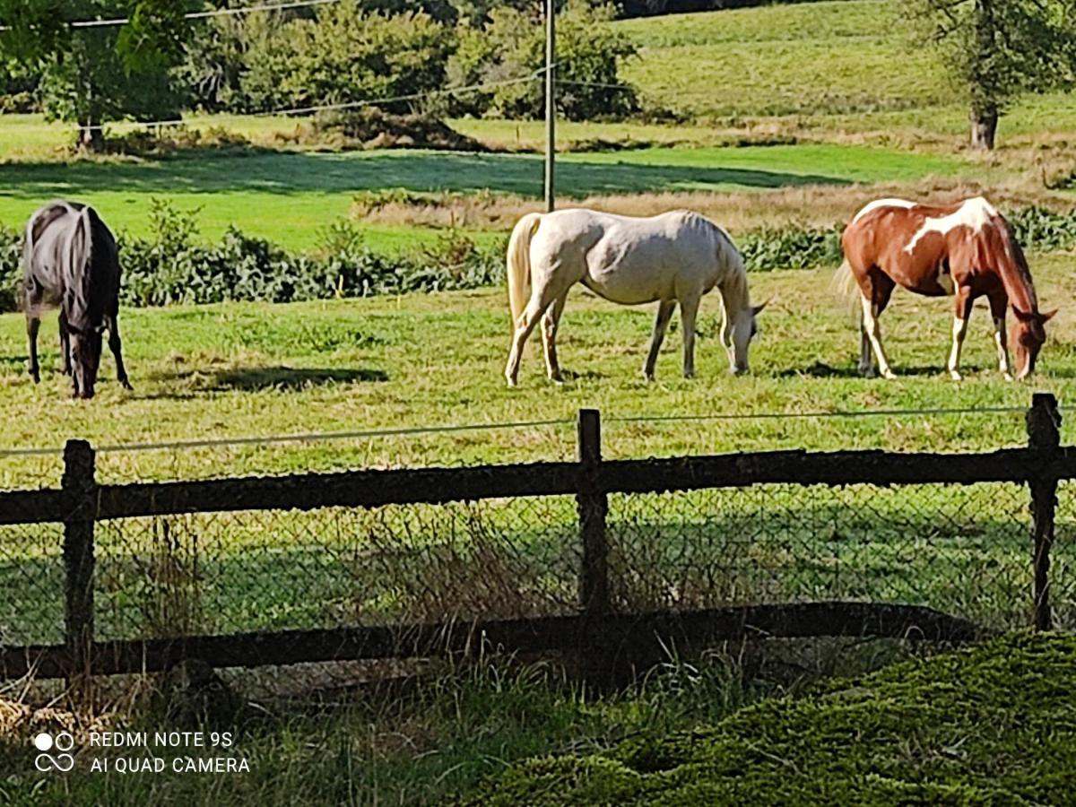 Les Quatre Vents Guest house Ars (Creuse)